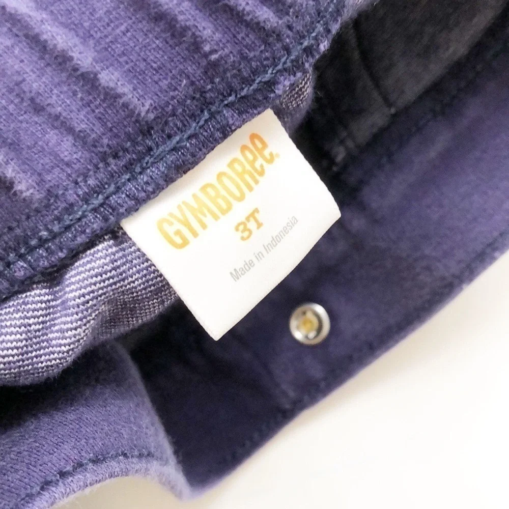 Gymboree blue toddler girl pants